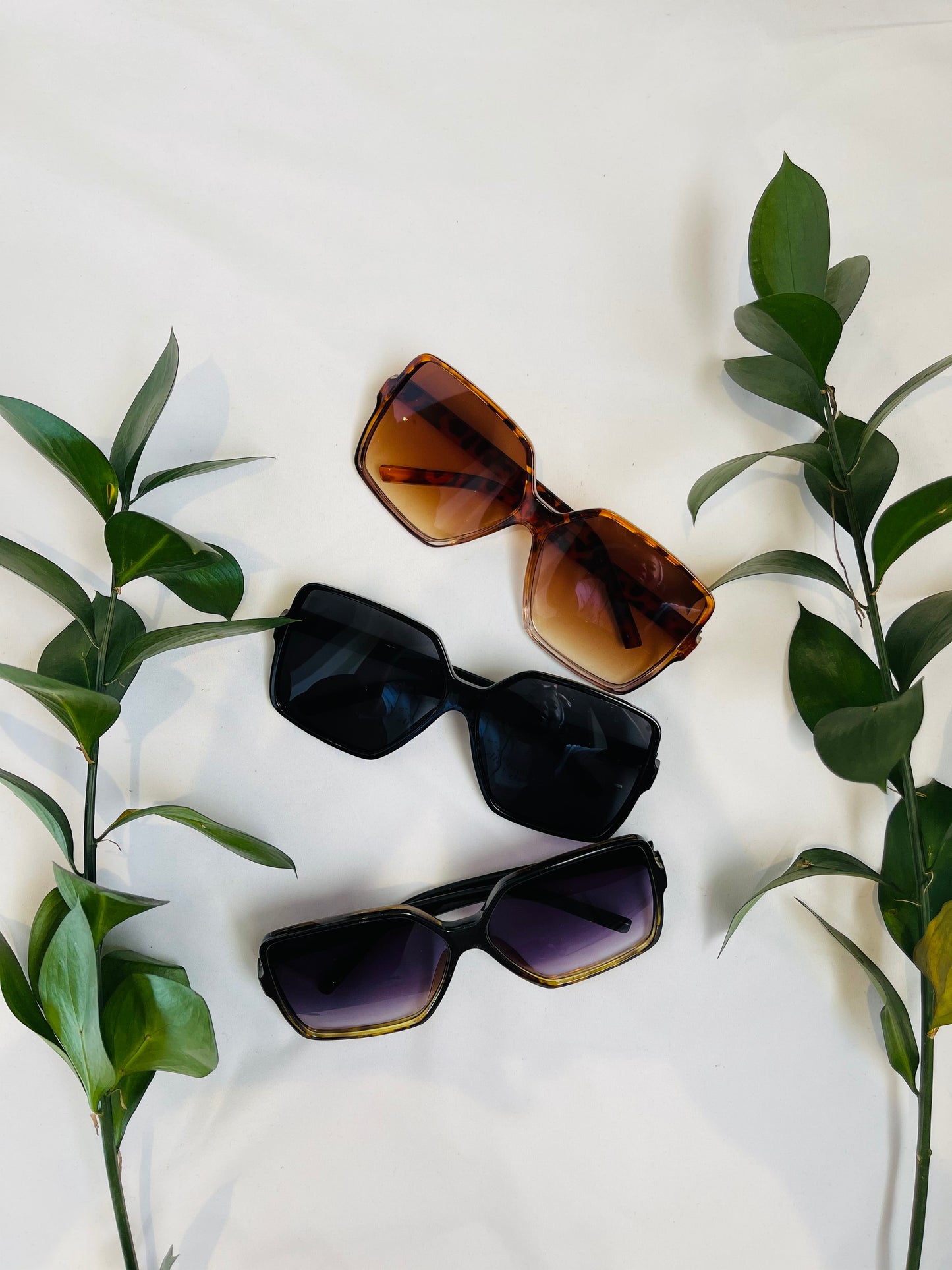 New Perspective Shades