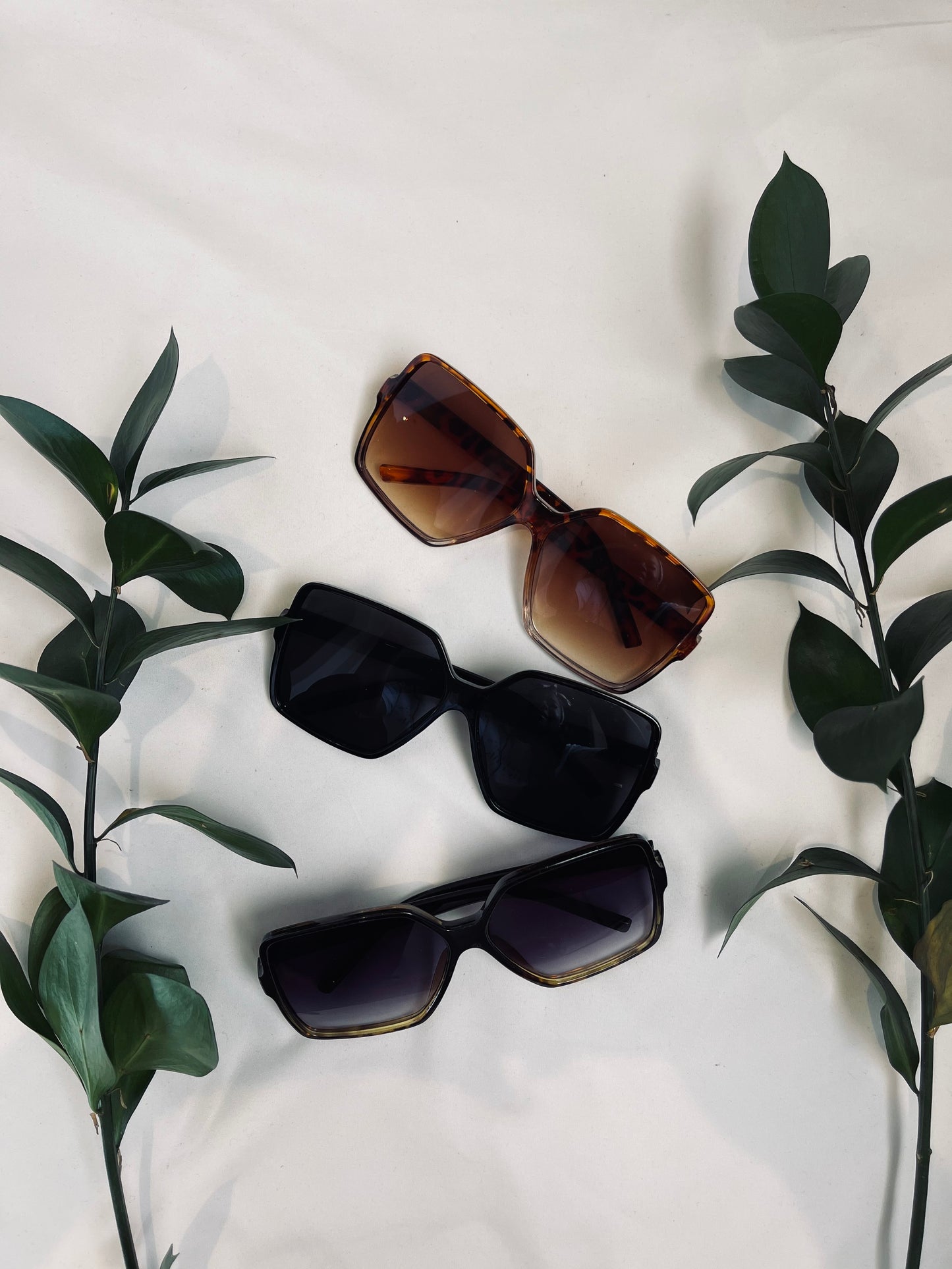 New Perspective Shades